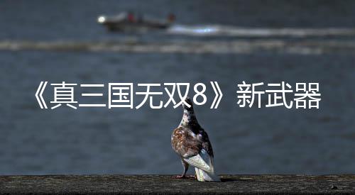 真转锤无双新武器昊演示三国视频