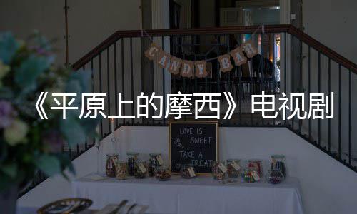 的摩电视 董剧演子健主演西宣 平原上员阵容官