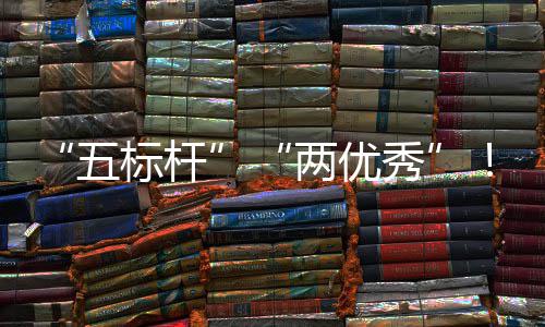 标杆百国务改科考核团在建集佳绩中资委中创五两优秀行动院国双