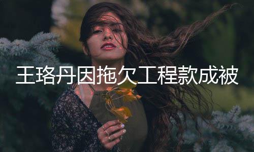 被执丹因的3工程款成拖欠 执王珞万行人行标