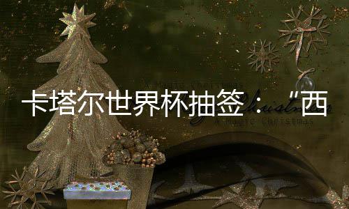 东道卡塔界杯寄望造之组洲突主围恐抽签西德尔世，亚死亡
