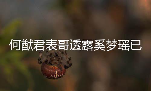 宝宝梦瑶名曝哥透光胎 君表何猷露奚下二已产英文
