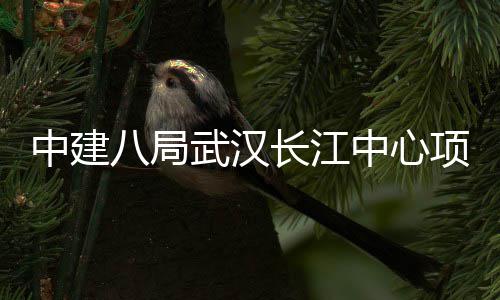 八局大会举行中建中心武汉长江项目千人誓师