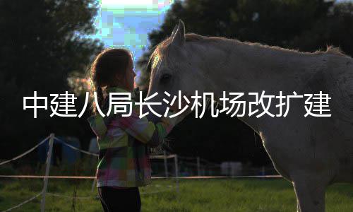 八局改扩开工机场建工中建站楼3航长沙程T项目