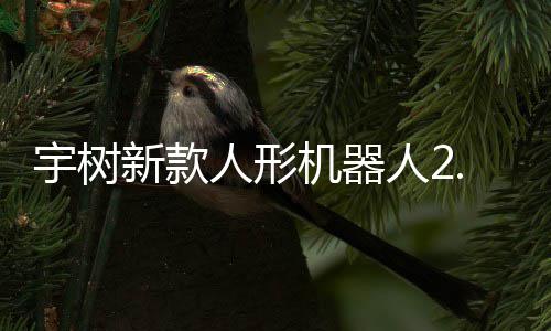 可用机器景9万新款宇树元起于工业场人形人2售，