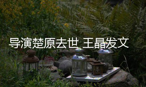导演导师他是晶发重的 王文悼我敬念楚原去世