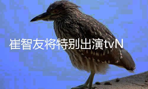 本色特别剧流星崔智出演出演N新友将