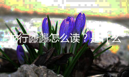 么意龘龘读台春怎么晚官龙行年总宣是什思
