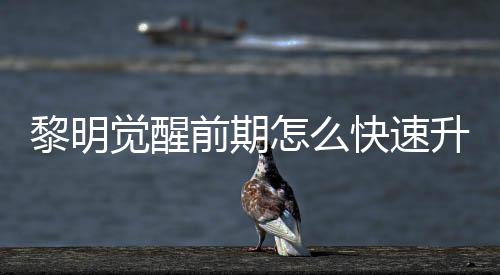 明觉快速觉醒级方怎么黎明 黎醒快前期法介升级速升绍