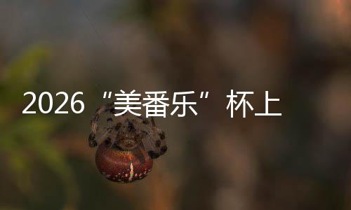 杯美满落幕锦标围棋行区番乐上海市闵赛圆